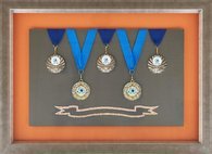 obi-medals